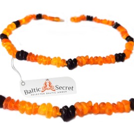 Genuine Amber Necklace for Cats and Small Dogs Stylish Shiny Amber Collar & Chain That Makes Even the Neighbour's Cat Envious Perfect Look for Small Four Legged Friends with Style (Colourful, 28 cm)