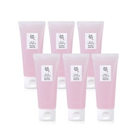 Joseon Beauty Red Bean Moisture Water Gel 100ml x 6 _B / 조선미녀 붉은팥 수분 워터 젤 100ml 6개 B