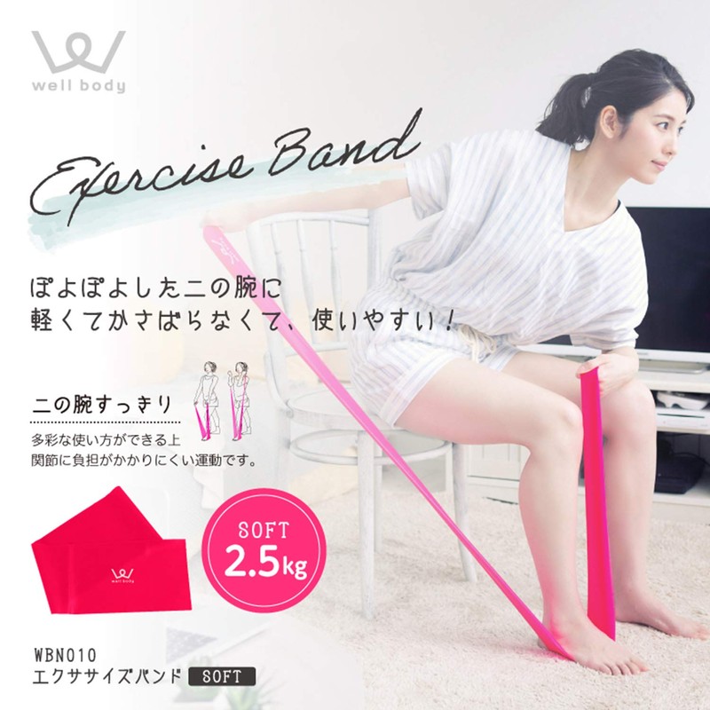 Alinco WBN010 Training Tube, Exercise Band, Soft