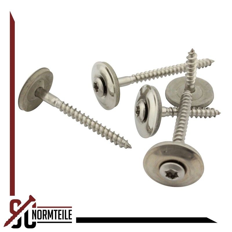 Pack of 100 Spengler Screws with Sealing Washer 20 mm