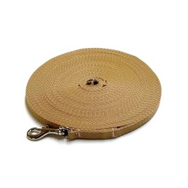 Puppy Training Lead Small Dog Obedience Heel Training Leash 5ft (1.5m) in 13mm Strong Webbing in Beige