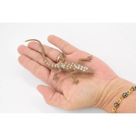 Unbranded Desert Iguana, Lizard, Toy, Realistic, Figurine, Model   5" F6101 B381
