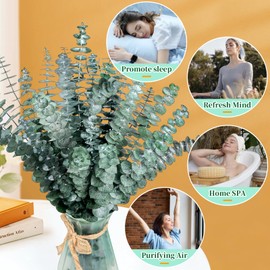 Eslibin Eslibin 21 Pcs Real Dried Eucalyptus Stems, 17" Natural Fresh Eucalyptus Branches for Shower, Greenery Leaves for Vase Filler, Fragrance, Fresh Silk Dry Live Plants Decor