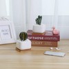 T4U Succulent Planters, Pots with Bamboo Saucers, Rectangular Ceramic Cactus