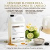 Shampoo anticaída sin sales de Bergamota Vitamina E Anticaída Y