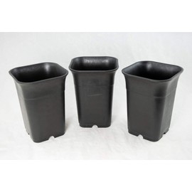 3 Square Heavy Duty Plastic Cascade Bonsai Pot, Cactus & Succulent/Orchid Planter - 4"x 4"x 5.5" (3x0838)