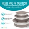 Messy Mutts Stainless Steel Heavy Gauge Bowl with Non-Slip Removable