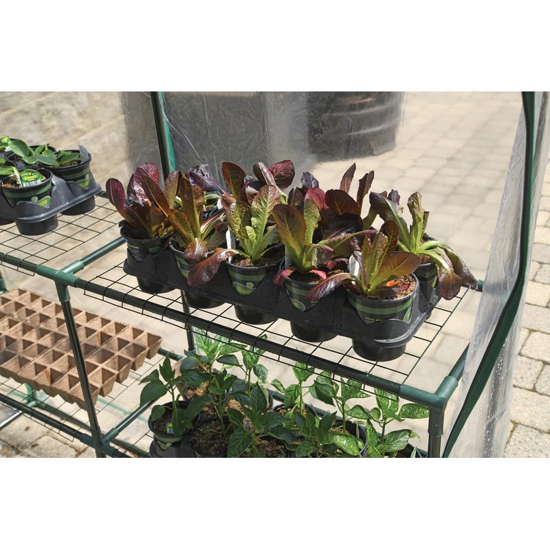 Miracle-Gro 4'8" x 4'8" x 6'5" All-Season Small Walk-in Greenhouse