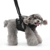 Cat Vest Harnesses Leash Adjustable Breathable Stylish Multifunctional Pet Walking