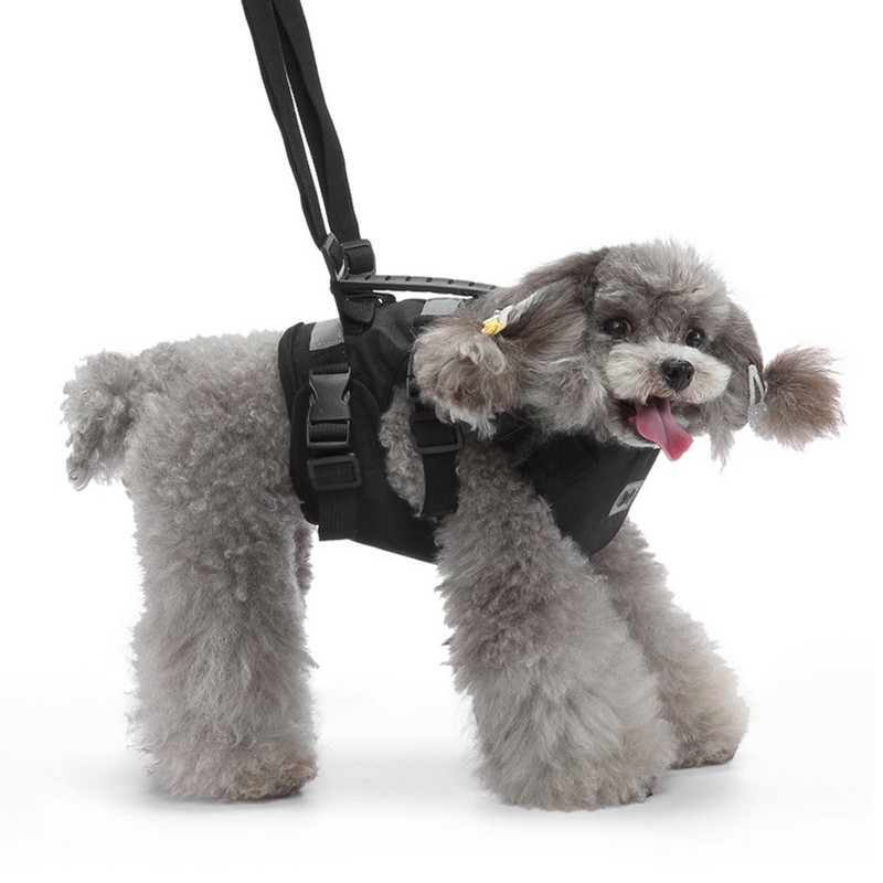 Cat Vest Harnesses Leash Adjustable Breathable Stylish Multifunctional Pet Walking
