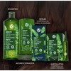 Yves Rocher ¡NUEVOS Acondicionadores ! Nueva Fórmula Nueva Presentación. (Acondicionador