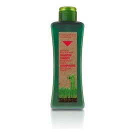 Salerm Biokera  Shampoo Especifico Anti Caida 1000ml Regenera Detiene Caida Del Cabello Ginseng Y Ginkgo Biloba                                       