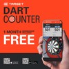 TARGET Darts Artemis 22G Tungsten Steel Tip Darts Set -