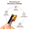 BetterAlt GOLD+ Choco Shilajit Honey Sticks | 85+ Minerals &