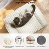 blunique Cat Beds for Indoor Cats - Cute Cat Couch
