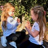 Flavored Honey Sticks - Farm Fresh US Honey Packets for