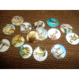 Unbranded Pre Cut One Inch Bottle Cap Images! PREHISTORIC DINOSAURS FREE SHIP - photo, 25 images
