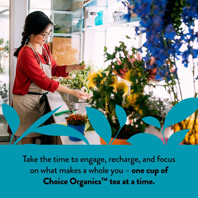 Choice Organic Teas White Elderflower Tea - Organic White &