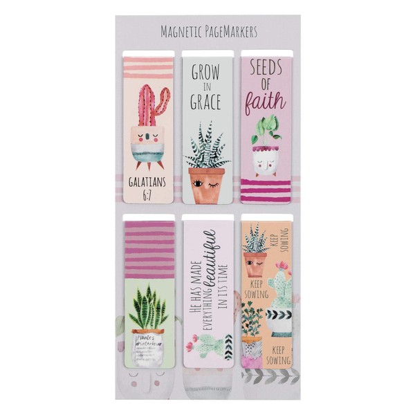 Set of 6 Beloved Scripture Favorites w/Cactus & Cheerful Flower