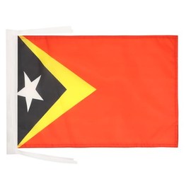 East Timor Flag 18'' x 12'' cords - East Timorese SMALL flags 30 x 45cm - Banner 18x12 in - AZ FLAG