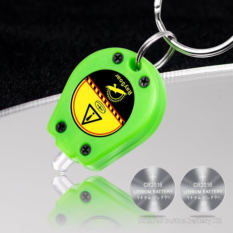 RaySoar 10 Pack Ultra Bright Mini LED Keychain Flashlight, Small