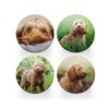 4 x Round Cockapoo Coasters - Golden Dogs Pet Poodle