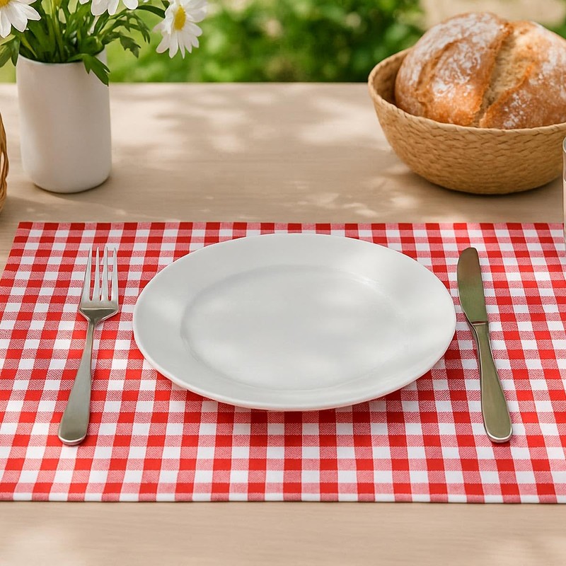 Robust red chequered cotton placemat in chequered vichy pattern with