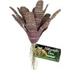 Zoo Med Naturalistic Flora Chestnut Bromeliad for Terrarium and Paludarium