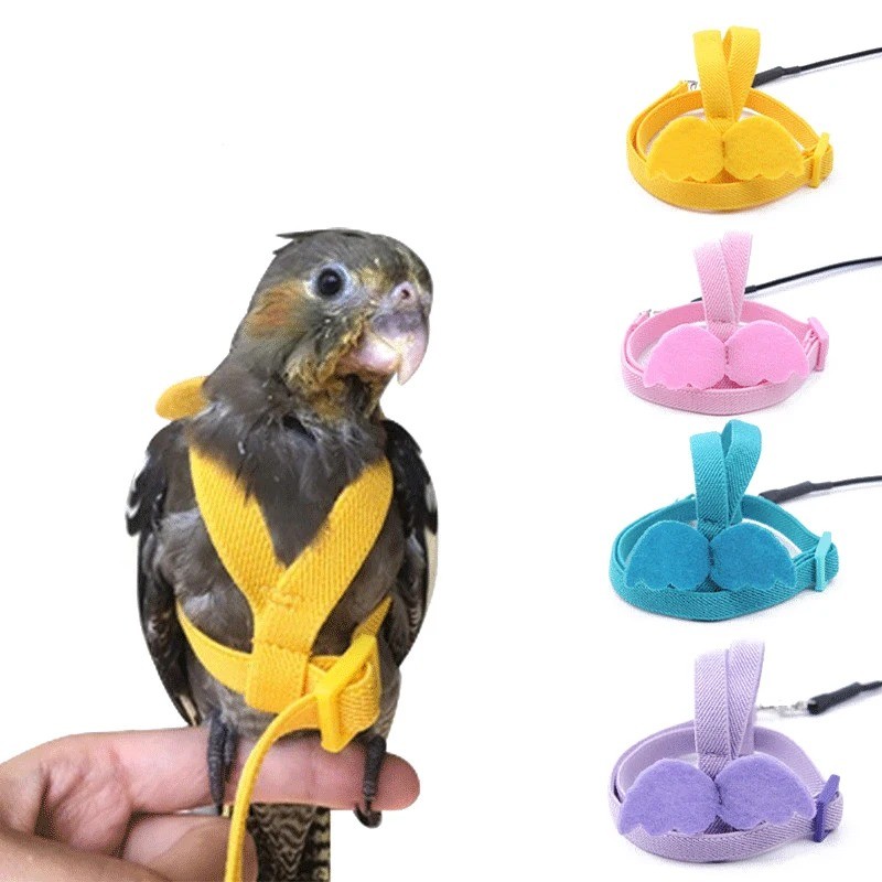 Parrot Flying Harness Leash Suit Pet Bird Outdoor Flight Training