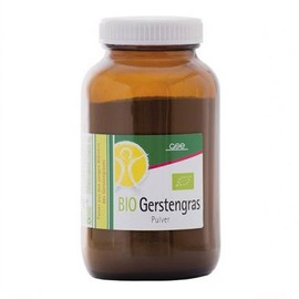지에스이 보리잎 파우더 120g GSE Barley Leaf Powder 120g