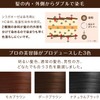 Treatment Hair Dye, Silaganese Point Rich Color EX, Partial Gray