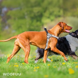 WOOFUU Sparkly Rhinestones Y-Shape Pet Dog Harness Size M – Fashionably Functional Gear for Trendsetting Dogs Everywhere