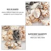 100 Pcs Seashell Mix for Crafts & Decor - Natural