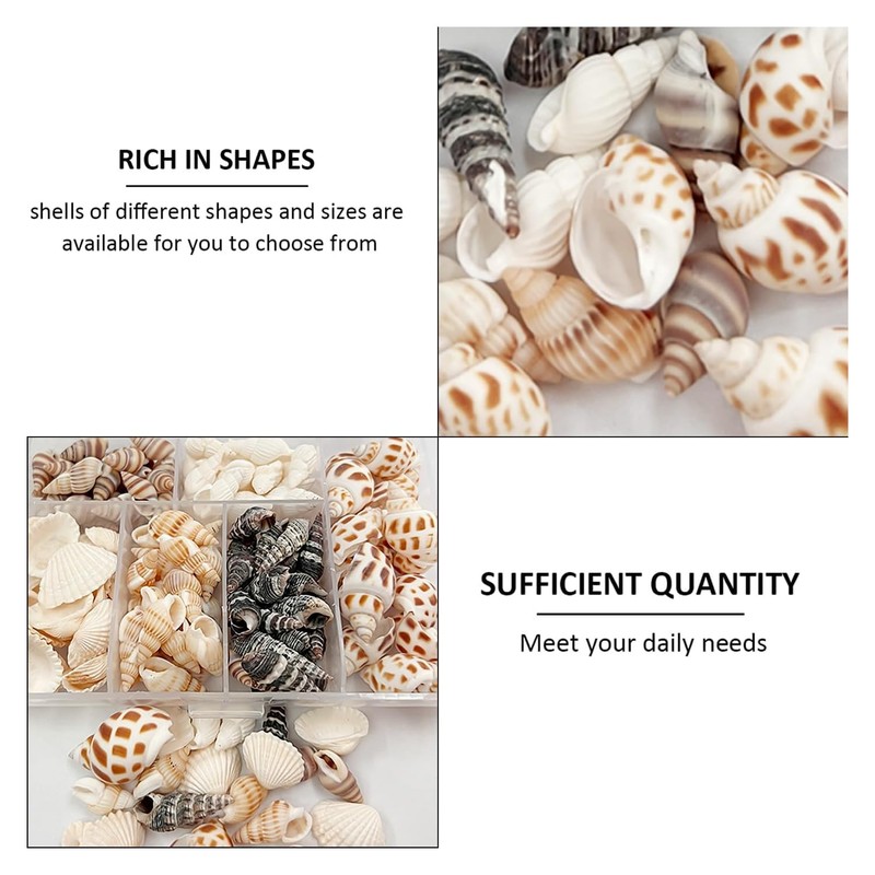 100 Pcs Seashell Mix for Crafts & Decor - Natural