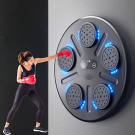 LisCOM Type 3 Electronic Boxing Sandbag A Home Smart Music Kickboxing Target Trainer / LisCOM 3타입 전자 복싱 샌드백 A 가정용 스마트 뮤직 킥복싱 타켓 훈련기