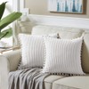 Fancy Homi Set of 2 White Decorative Throw Pillow Covers