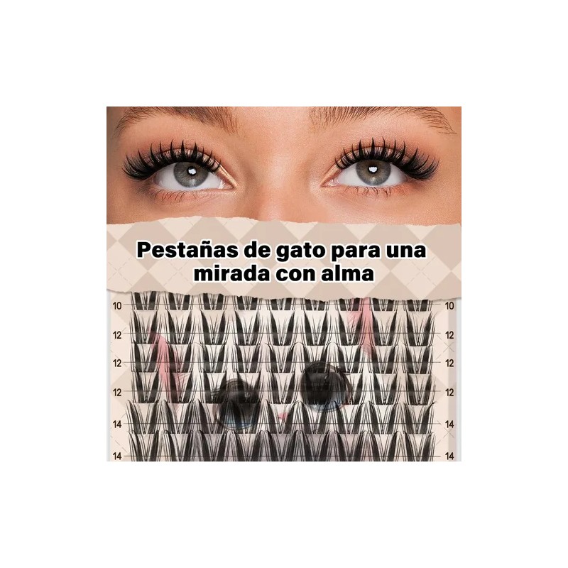 Cat Eye Extensión De Pestañas Jms&jms 8-18mm C Manga Lash