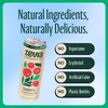 Zevia Zero Sugar Tea, Black Tea with Raspberry, 12 oz