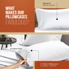TEXAS LINEN CO. 100% Egyptian Cotton Pillow Cases Set of