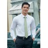 HISDERN Sage Green Ties for Men Wedding Silk Woven Necktie