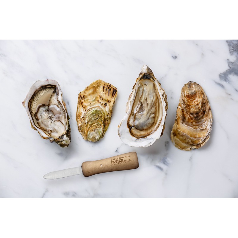 Dexter-Russell 2.75-inch Oyster Knife, New Haven pattern