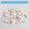 Paquete Dientes Compatibles Nissin Tipodonto