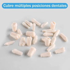 Paquete Dientes Compatibles Nissin Tipodonto