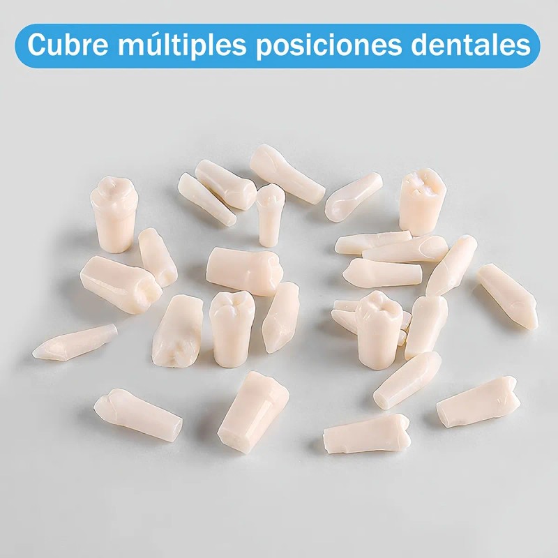 Paquete Dientes Compatibles Nissin Tipodonto