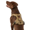 KONG Ultra Durable Waste Bag Harness (Medium, Tan)