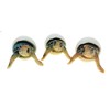 Globe Imports Baby Sea Turtles Hatching from Eggs Mini Figurines,