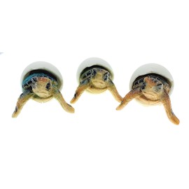 Globe Imports Baby Sea Turtles Hatching from Eggs Mini Figurines, Set of 3