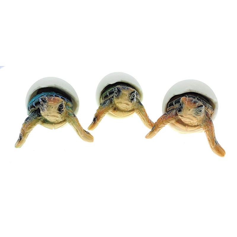 Globe Imports Baby Sea Turtles Hatching from Eggs Mini Figurines,