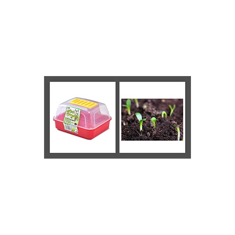 Kids Small Propagator