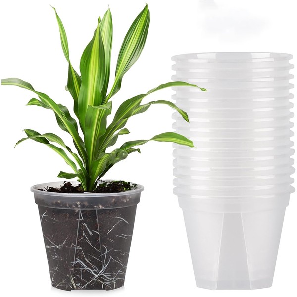 Wensmy 10Pcs Clear Orchid Pots with Holes Planter Nursery Pots